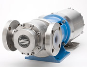 Magnetically Driven Pumps